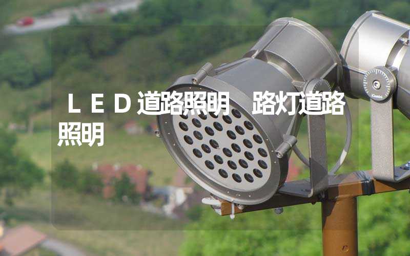 LED道路照明 路灯道路照明